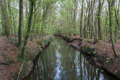 Wolbecker Tiergarten in Münster, nature reserve