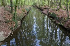 Münster Wolbecker Tiergarten park