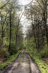 Münster Wolbeck protected area forest