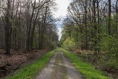 Wolbecker Tiergarten in Münster