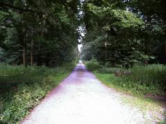 pathway in the Wolbecker Tiergarten Nature Reserve, Münster