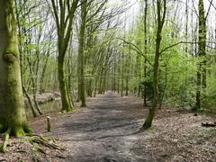 Wolbecker Tiergarten view