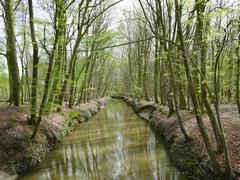 Wolbecker Tiergarten forest path