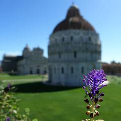 Leaning Tower of Pisa in Piazza dei Miracoli, Italy