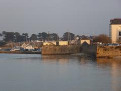 a bustling fishing port with boats docked and buildings in the background