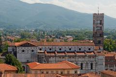 Cathedral of Lucca from Torre Guinigi