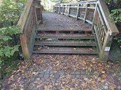 Holzbrücke im Römischen Garten