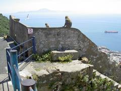 Charles V Wall in Gibraltar