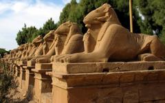 Alley of Ram-headed Sphinxes in Luxor