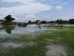 Scenic view of Hajipur in Bijoynagar Upazila, Bangladesh