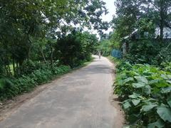 Narrow road in Hazi Pur, Bijoynagar Upazila