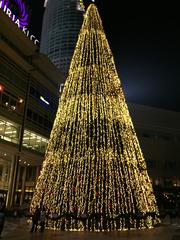 Highest Christmas tree in Kuala Lumpur