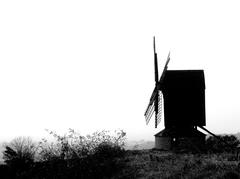 Brill windmill in a grassy field