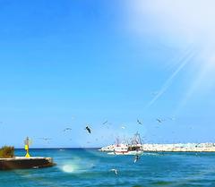 Porto Pesaro with boats and buildings