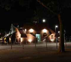 Eiserner Steg in Frankfurt at night