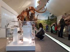 Interior view of Mammutmuseum in Niederweningen, Switzerland