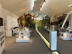 Mammutmuseum exhibit featuring reconstructed mammoth skeleton