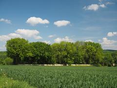 Protected area at Friedhof des Klostergutes Grauhof, Niedersachsen