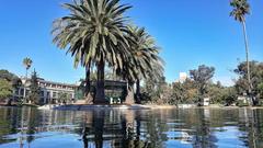 Artificial palm-filled lake with mountains in the background