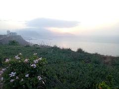 Algeria Oran Akid-Lotfi garden