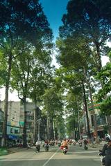 Duong Ly Thuong Kiet street with green trees in District 10, Ho Chi Minh City