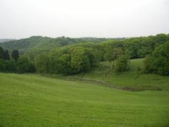 Weideflächen im Hofheider Bachtal im Wildgehege Neandertal