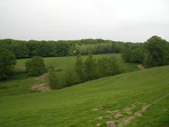 Grazing areas in Hofheider Bachtal in Neandertal wildlife park