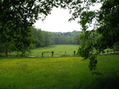 pasture area along the Düssel in Wildgehege Neandertal