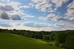 View of Tarpan enclosure and meadow in Wildpark Neandertal