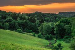 Sunset view in Hofheider Bachtal, Erkrath showing Tarpan enclosure in Wildpark Neandertal