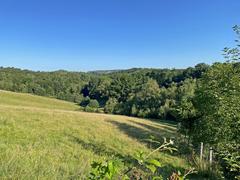 Hofheider Bachtal grazing area in the Ice Age Wildlife Park Neandertal