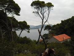 View from the island of Koločep