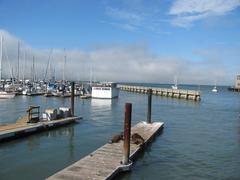 Boats moored at Fisherman's Wharf in San Francisco