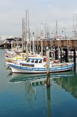 Fishing fleet at Fisherman's Wharf in California