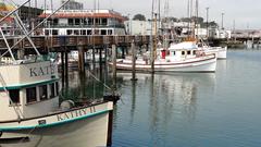 Fishing fleet at Fisherman's Wharf