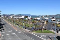 Fisherman's Wharf panoramic view