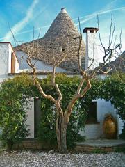 Trullo Sovrano rear view in Alberobello, Italy