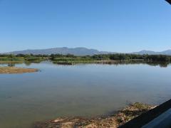 Naturpark Aiguamolls in Katalonien, Spanien