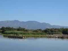 Naturpark Aiguamolls in Katalonien, Spanien