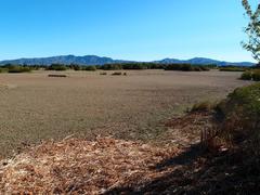 Aiguamolls de l’Empordà Natural Park after a dry period