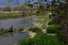 Scenic view of Aiguamolls de l'Empordà wetland with clear sky