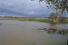 Aiguamolls de l'Empordà wetland landscape