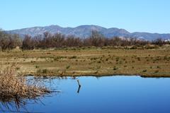 Aiguamolls de l'Empordà natural area