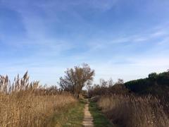 scenic path through Aiguamolls de l'Empordà, Special Area of Conservation in Catalonia, Spain