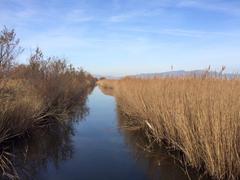 Aiguamolls de l'Empordà wetlands in Catalonia, Spain