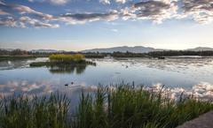 Aiguamolls de l'Empordà wetland in Catalonia, Spain