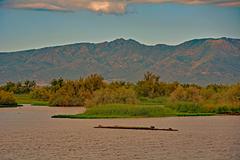 Photograph of Aiguamolls de l'Empordà, a Special Area of Conservation in Spain