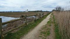 Aiguamolls de l'Empordà wetland in Catalonia