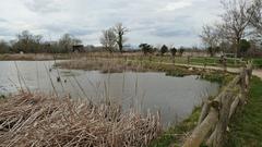 Aiguamolls de l'Empordà in Catalonia wetland landscape