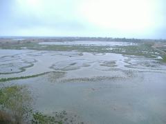 Aiguamolls de l'Empordà wetland landscape